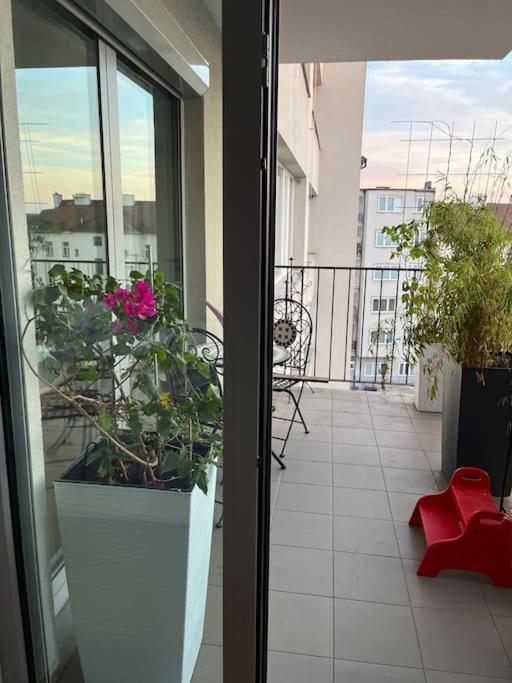 Apartment In Historical Center With Park View เปิลเซน ภายนอก รูปภาพ