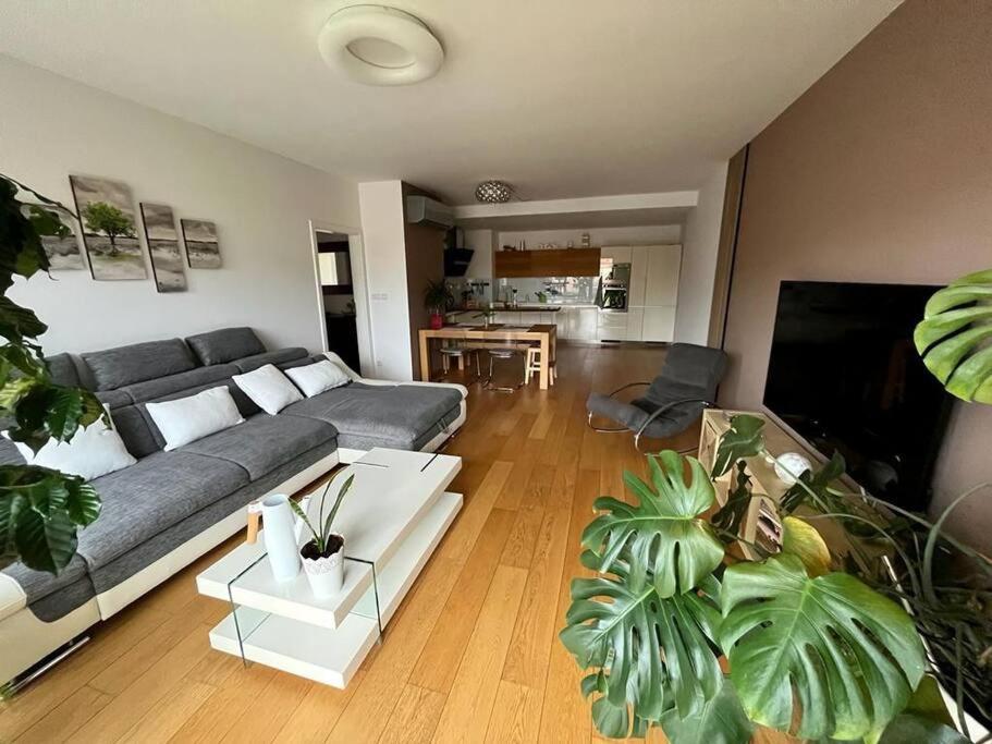 Apartment In Historical Center With Park View เปิลเซน ภายนอก รูปภาพ